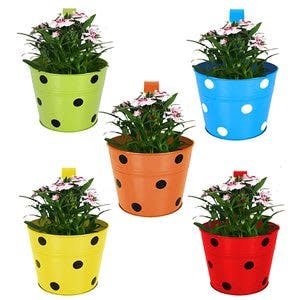 Single Pot Railing Planter Pack of 5 at Rs 839 only