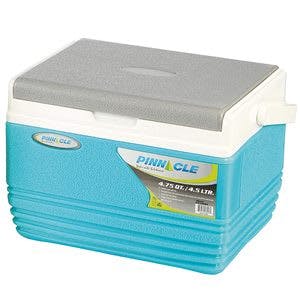 Pinnacle Eskimo Ice Cube Box with Handle at Rs 699 only