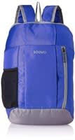 Amazon Brand Solimo Hiking Day Backpack  at Rs 220 only