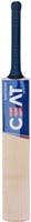 CEAT Speed Master Poplar Willow Cricket Bat  at Rs 286 only